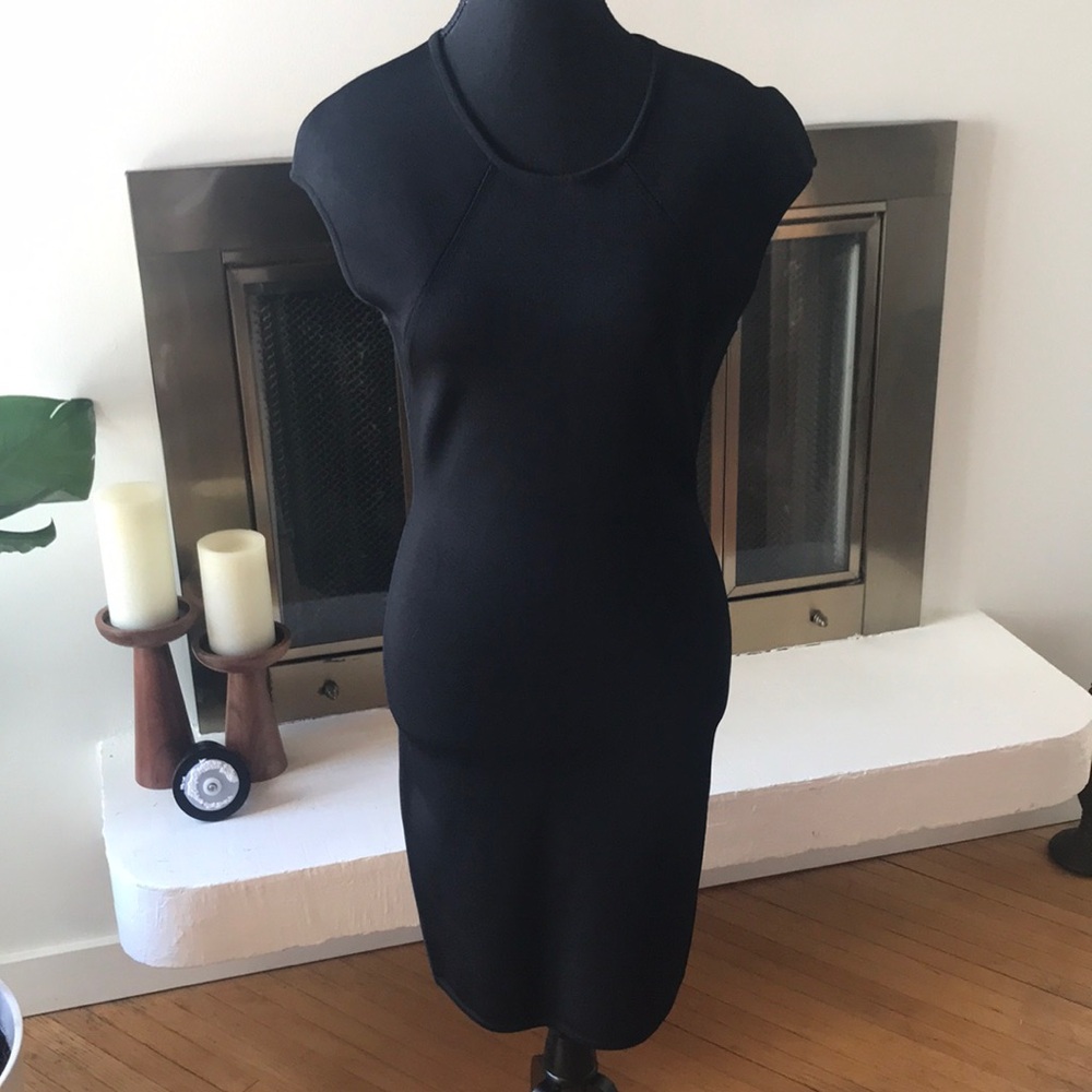Alexander Wang Ribbed Bodycon Dress